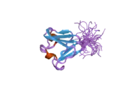 2dad: Solution structure of the fifth crystall domain of the non-lens protein, Absent in melanoma 1