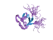 2dmo: Refined solution structure of the 1st SH3 domain from human Neutrophil cytosol factor 2 (NCF-2)