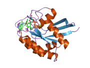 2evw: Crystal structure analysis of a fluorescent form of H-Ras p21 in complex with R-caged GTP