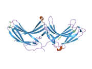 2fau: Crystal structure of human vps26