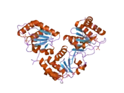 2g6z: Crystal structure of human DUSP5