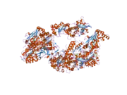 2gvg: Crystal Structure of human NMPRTase and its complex with NMN