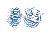 2h68: Histone H3 recognition and presentation by the WDR5 module of the MLL1 complex