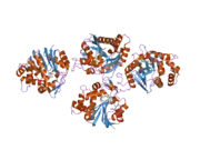 2iip: Human Nicotinamide N-methyltransferase