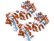 2j0f: STRUCTURAL BASIS FOR NON-COMPETITIVE PRODUCT INHIBITION IN HUMAN THYMIDINE PHOSPHORYLASE: IMPLICATION FOR DRUG DESIGN