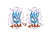 2j21: HUMAN P53 CORE DOMAIN MUTANT M133L-V203A-N239Y-N268D-R282W