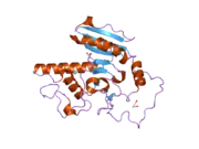 2o1g: Natural occurring mutant of Human ABO(H) Galactosyltransferase: GTB/M214T