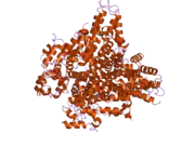 2of5: Oligomeric Death Domain complex