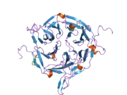 2oit: Crystal Structure of the N-terminal Domain of the Human Proto-oncogene Nup214/CAN