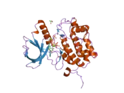 2ou7: Structure of the Catalytic Domain of Human Polo-like Kinase 1