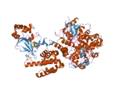 3cf6: Structure of Epac2 in complex with cyclic-AMP and Rap