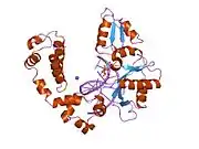 8icy: DNA POLYMERASE BETA (E.C.2.7.7.7)/DNA COMPLEX + THYMIDINE-5'-TRIPHOSPHATE, SOAKED IN THE PRESENCE OF DTTP AND MNCL2