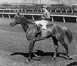 Peter Pan at Flemington jockey Darby Munro