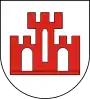 Coat of arms of Żychlin