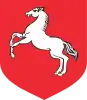 Konin