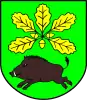 Coat of arms of Gmina Stary Dzików