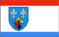 Flag of Bełchatów County