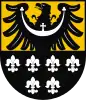 Trzebnica County