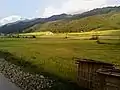 Paddy fields in Manipur