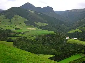 Rugged interior of the municipality of Lajes das Flores