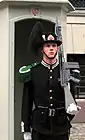 Palace guard at the royal palace, Oslo. Note the G3-type rifle with a bayonet over the barrel.