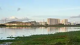 View of Pallikaranai Marsh