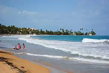 Palmas del Mar Beach