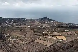 Arid landscape during summer