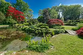 Another view of the japanese garden.