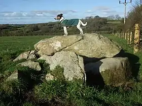 Parc-y-Llyn burial chamber