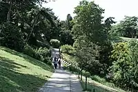 A pathway through the park