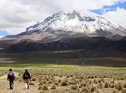 The extinct Sajama volcano in the Sajama Province