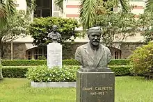 Busts of Calmette and Pasteur