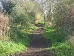 Part of the linear boundary known as the Wansdyke: section 1230 yd (1120 m) eastwards from Burnt House Inn