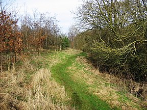 a path following Basselton Beck