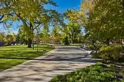 Fall at UIC