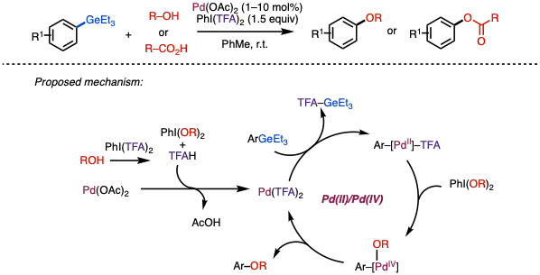 Pd-catalyzed C–O coupling of organogermanes