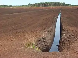 Peat workings at Solway Moss