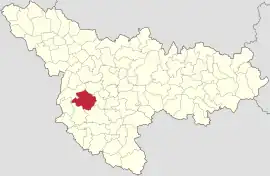 Location in Timiș County