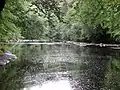 Peden's Cave view, River Lugar Gorge, East Ayrshire, Scotland