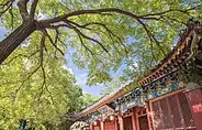 Peking University West Gate