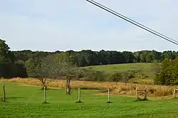 Countryside at the intersection of Petersburg