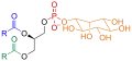 Phosphatidyl-inositol