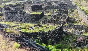 A vinery and the walls around