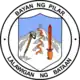 Official seal of Pilar