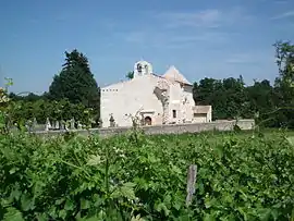 Ruins of the abbey