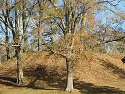 Pocahontas Mound A