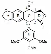 Ring assignment and numbering of podophyllotoxin