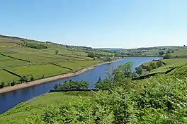 A lake surrounded by green fields and bracken