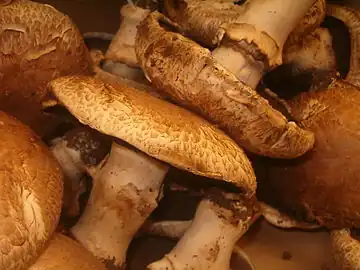 Portobello mushrooms